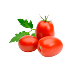 TOMATE ITALIANO